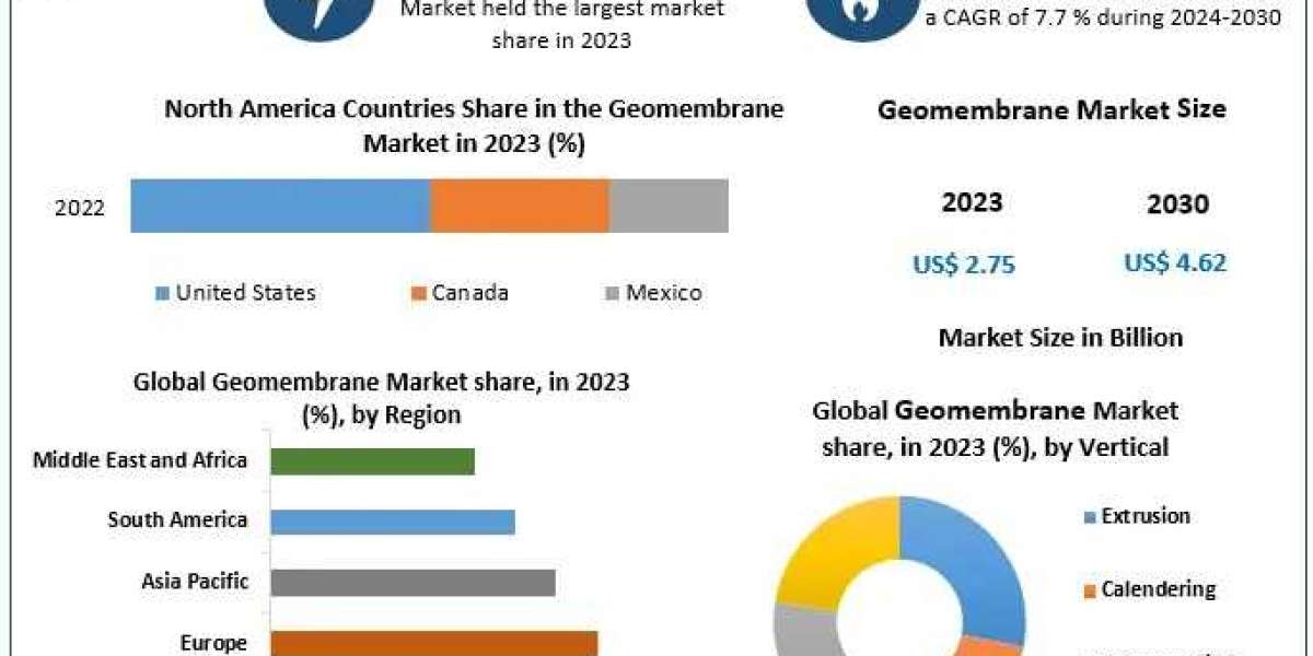 Geomembrane Market Growth, Technology Adoption & Development Analysis Forecast 2024–2030