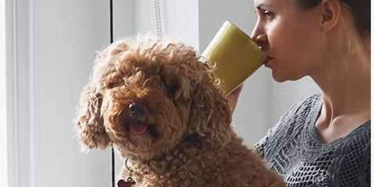 Why More Perth Families Trust Modify Home Modifications for Accessibility