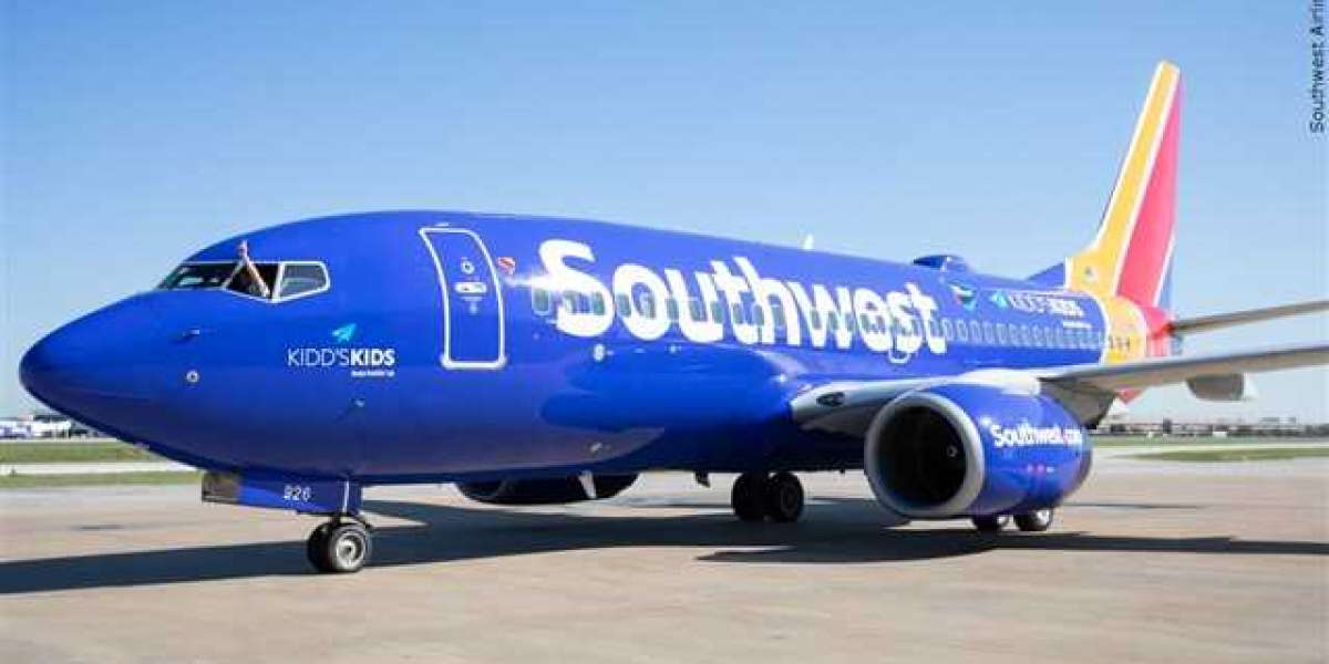 Complete Guide to Southwest Airlines SNA Terminal