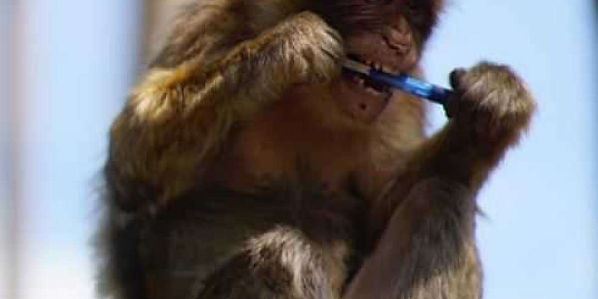 Wie seriös ist Hernando? Echte Nutzererfahrungen im Test