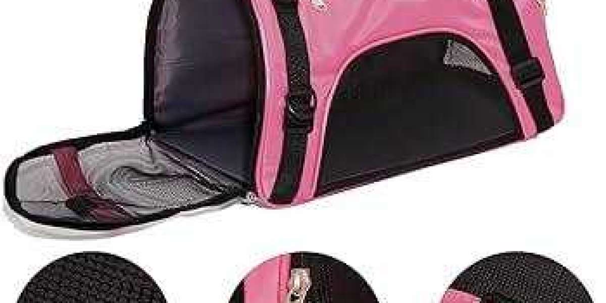 Pawtechpet Pet Carriers: Ventilated and Cozy for Pets