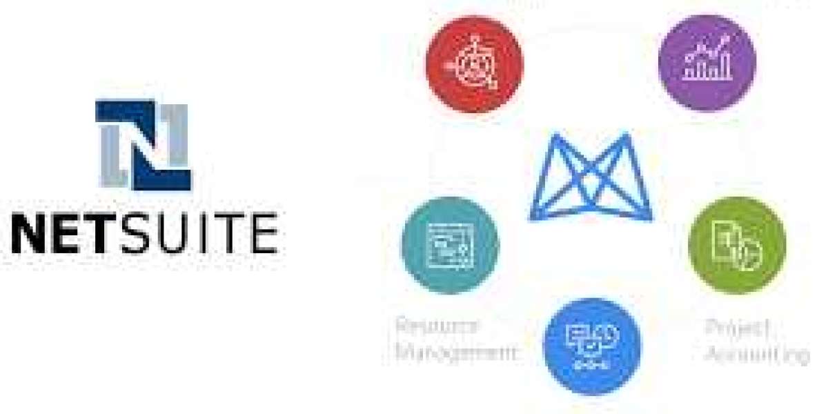 The Complete Guide to Working With NetSuite Offshore Accounting Teams