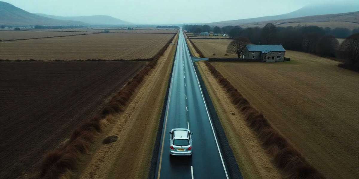 Navigating London's Roads: The Indispensable Role of Driving Offence Solicitors London