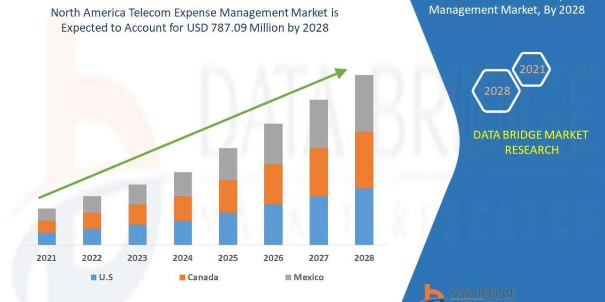 North America Telecom Expense Management Market Scope, Segmentation, and Key Insights 2025–2032