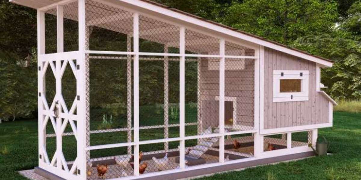 Easy-to-Follow Chicken Coop Plans for 30 Chickens for Happy Flocks