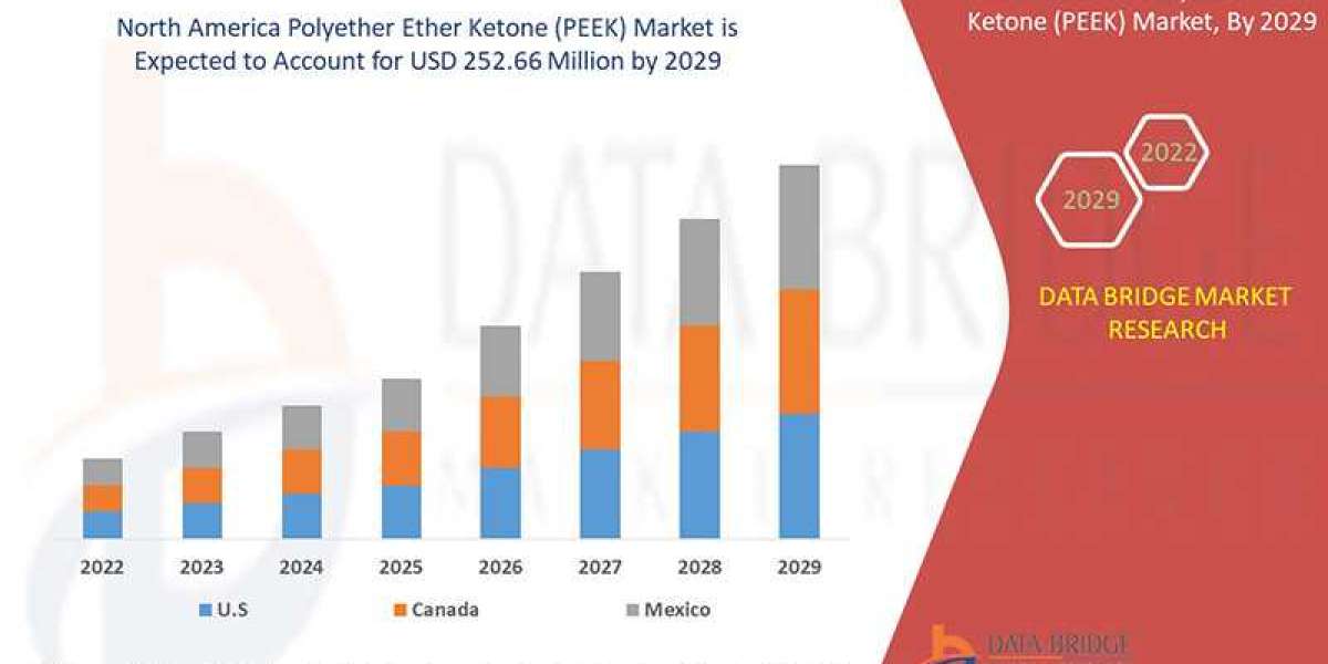 North America PEEK Market Leads Innovation with High Adoption in High-Performance Engineering Plastics