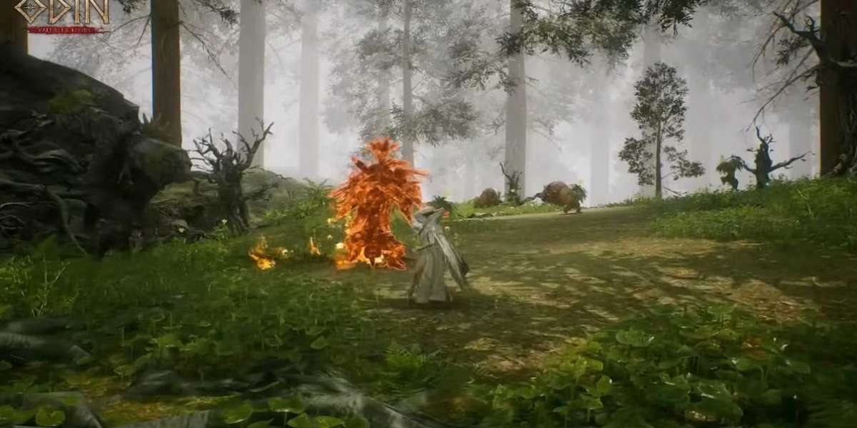 MMoexp: Strategies for Dungeons and Raids in Odin