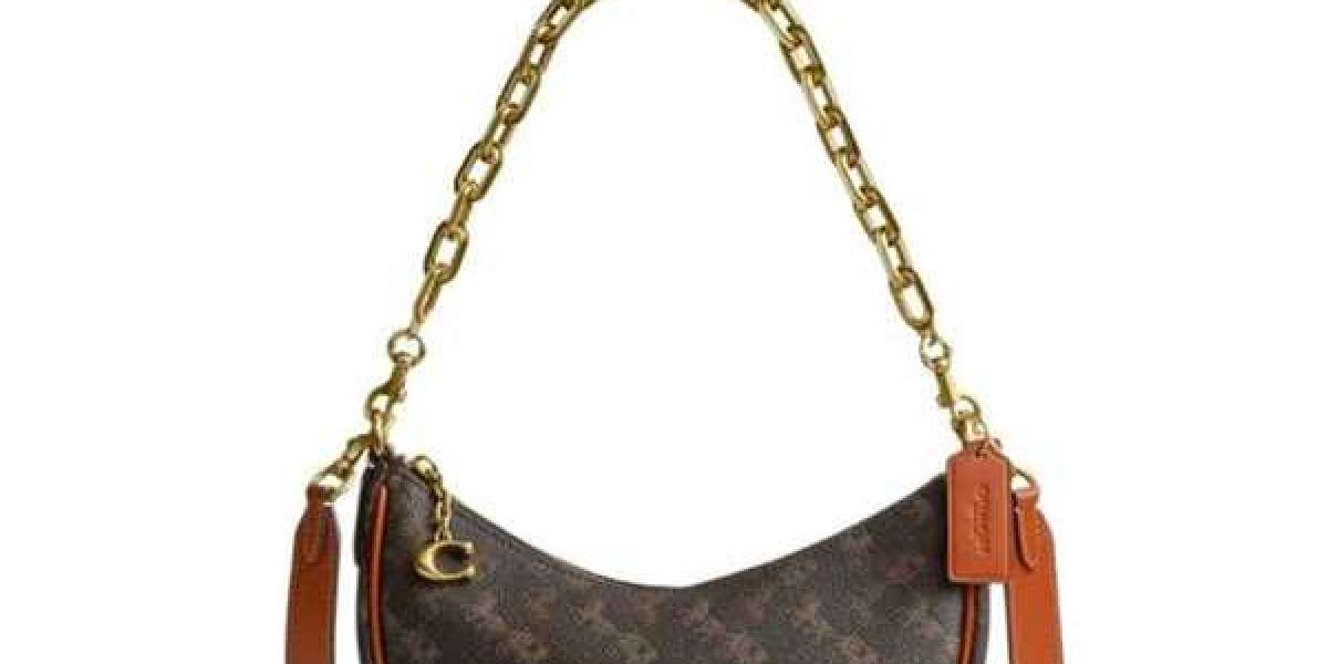 Coach 相機包推薦｜人氣款式與實用特色全面解析