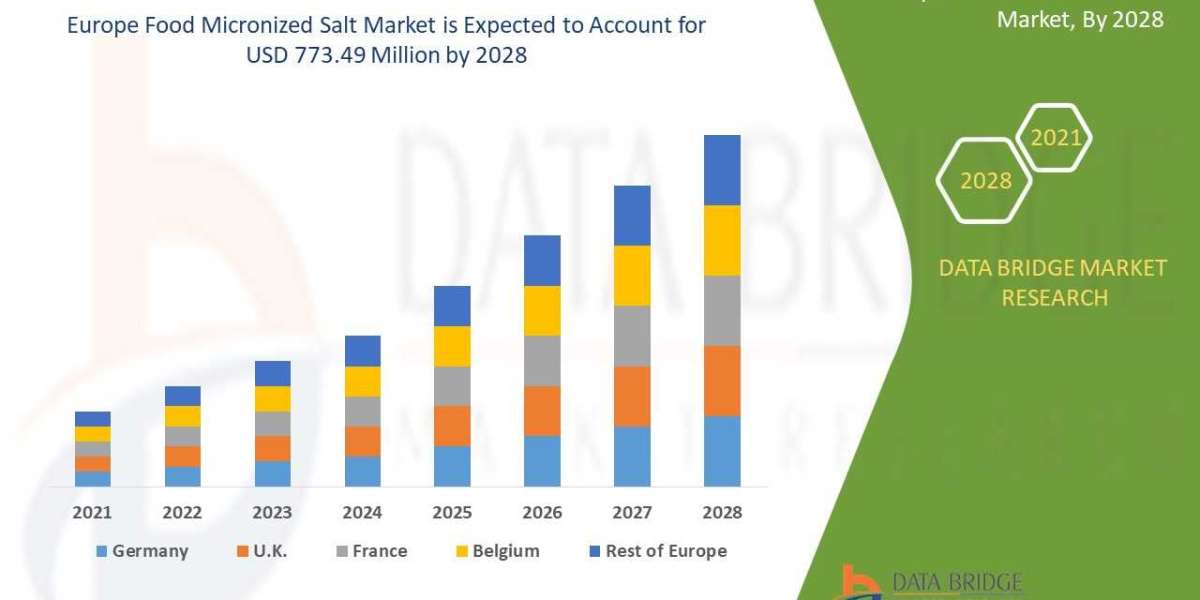 Europe food micronized salt Market Outlook, Challenges, and Opportunities by Region