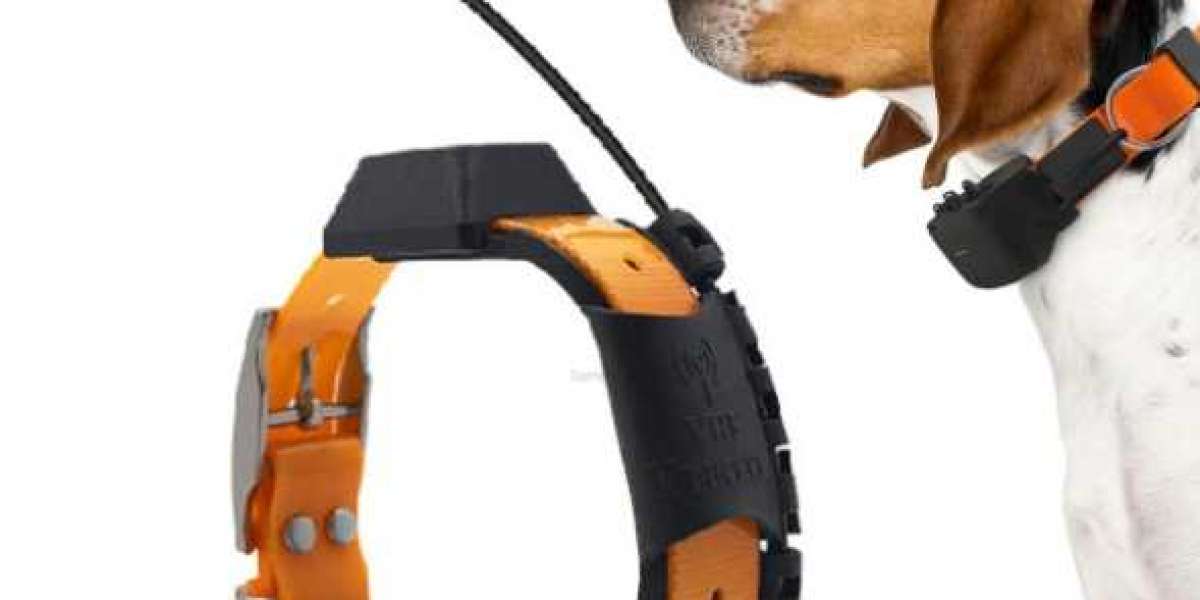 eSeek Innovations That Keep Pets Safe and Owners Confident