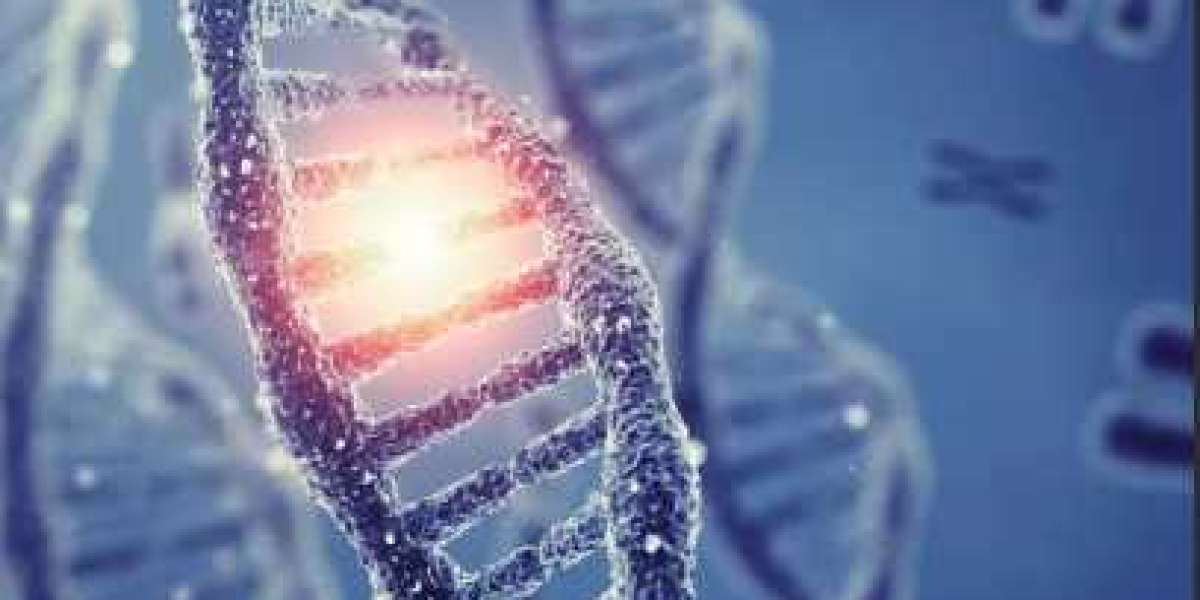 Amniotic Allograft Products: Advancing Regenerative Medicine