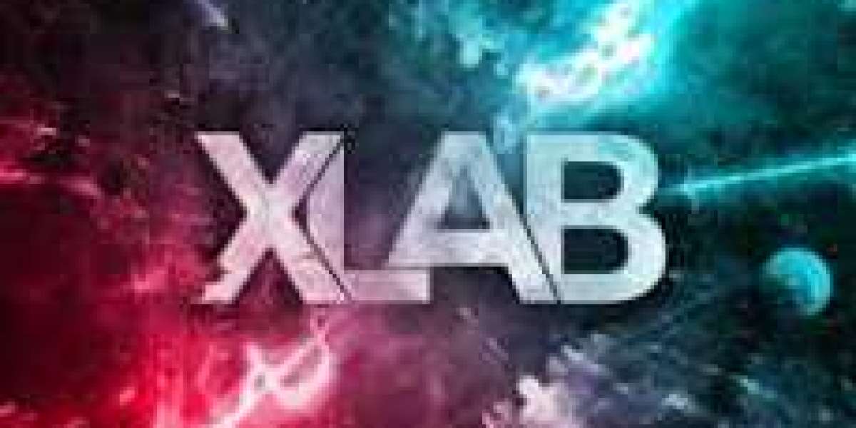Xlabau – Technology that Powers Growth