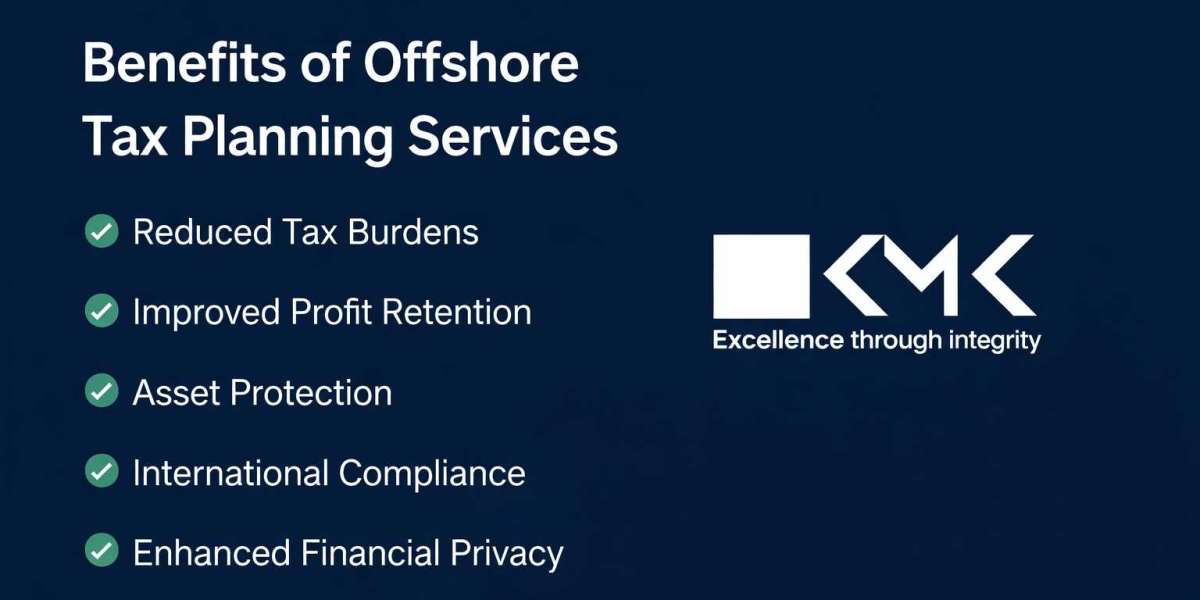 Who Should Consider Offshore Tax Planning Services? 