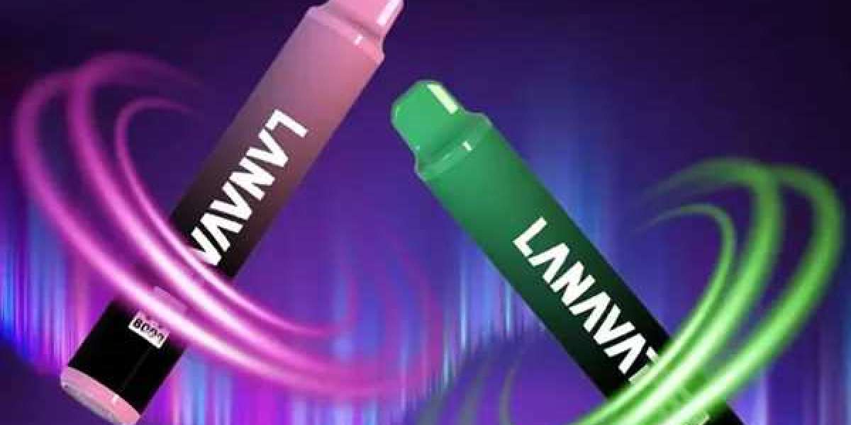 如何評估 LANA VINO 主機的性能與表現？