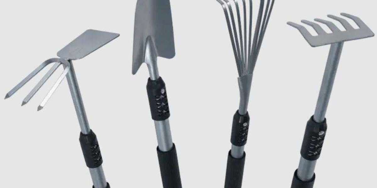 Crafting Value: From Budget to Premium Tool Sets