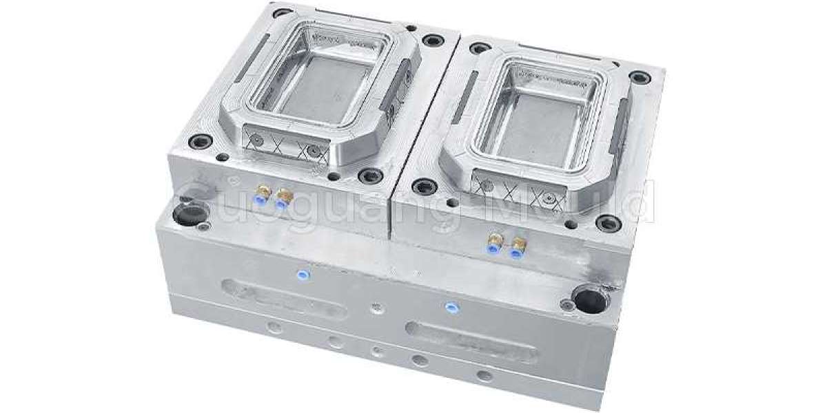 Plastic Injection Thin Wall Food Container Mold: Core Components and Cavity Configuration