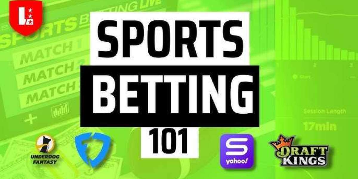 절대 놓치면 안 되는 한국 최고의 토토사이트 TOP 13, 당신의 배팅 전략을 바꾼다!