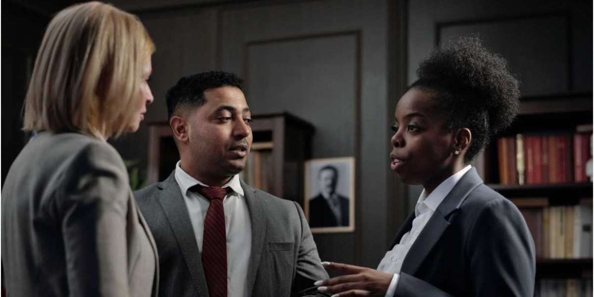 Beyond the Crisis: The Proactive Partnership Model of Modern Business Immigration Law