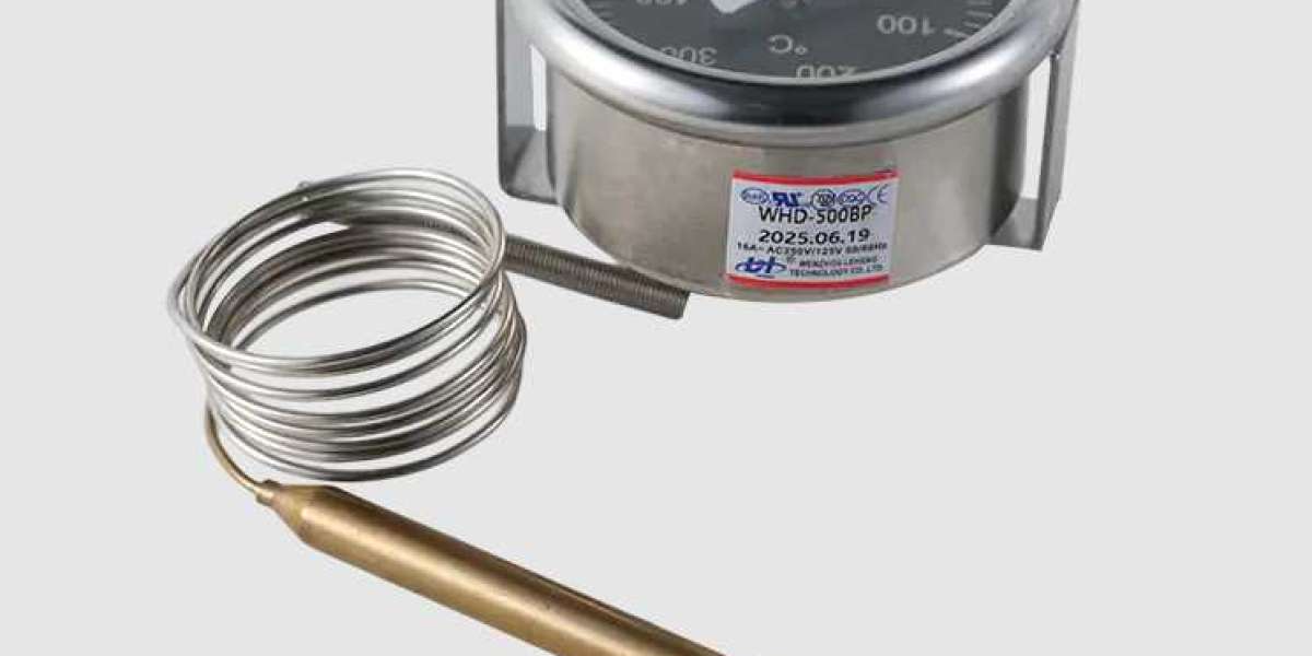 Reliable Temperature Monitoring with Limit Thermostat