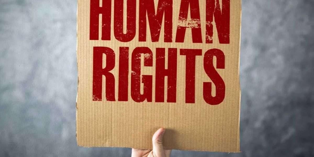 The Last Line of Defence: Protecting Your Dignity with Human Rights Claims