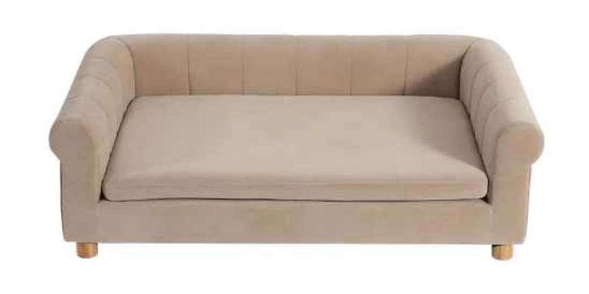 Pet Upholstered Chair With Arms: Supporting Comfort and Connection at Home